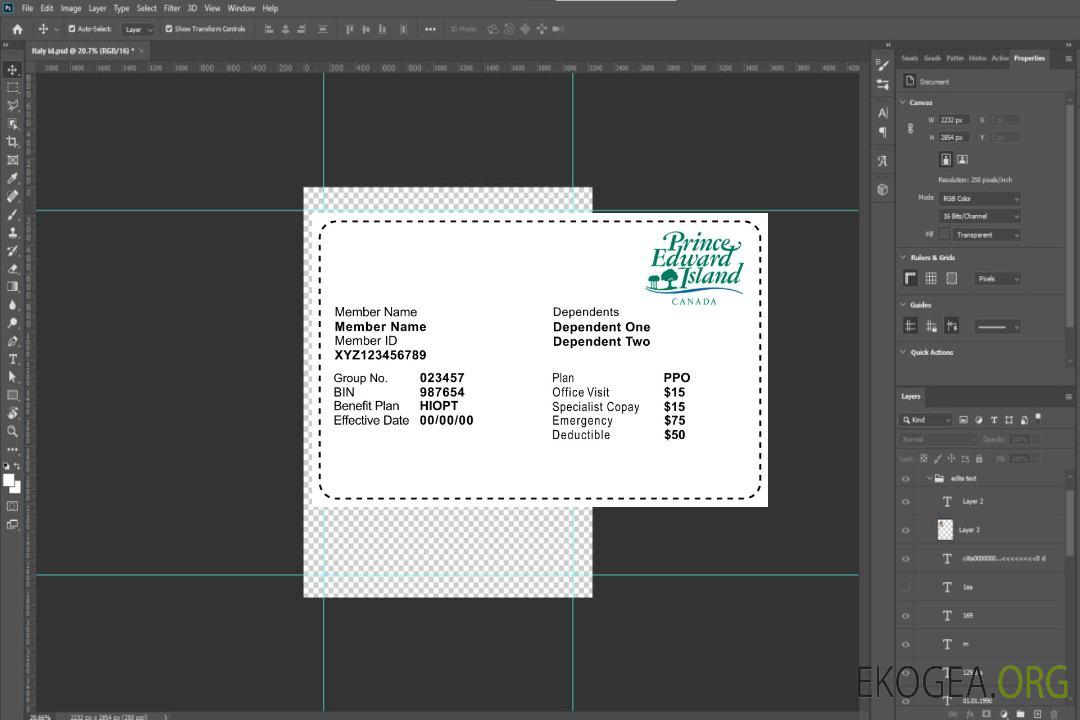 Carte d'assurance maladie de l'Île-du-Prince-Édouard template